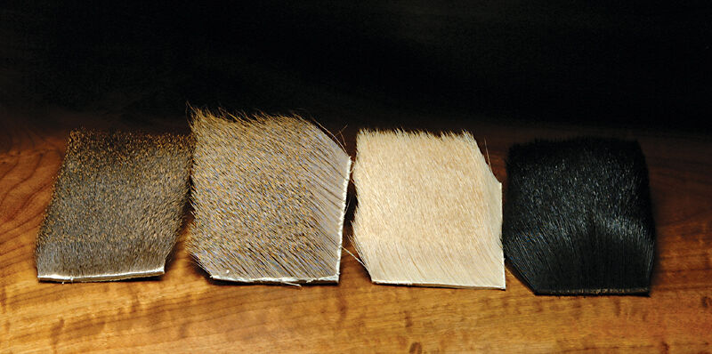 Coastal Blacktail Deer Body Hair