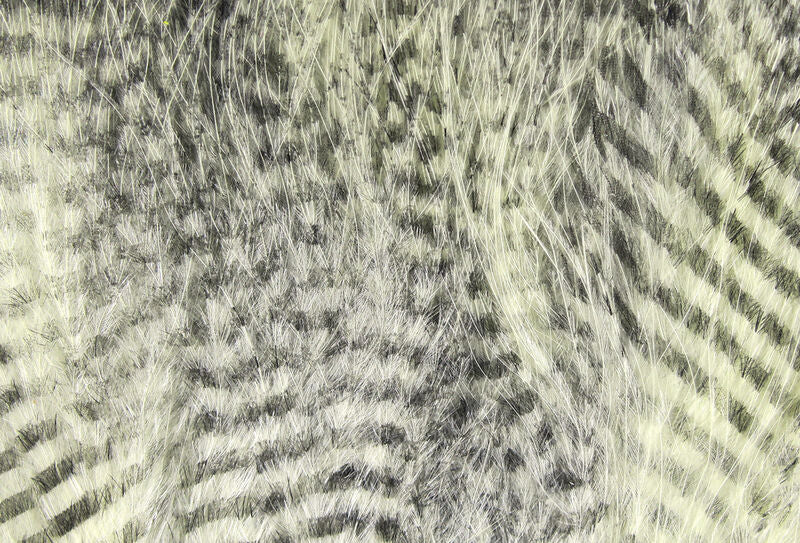 Fine Black Barred Marabou Feathers