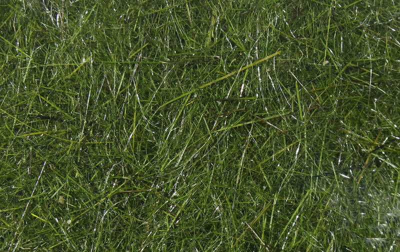 Hare's Ear Plus Dub