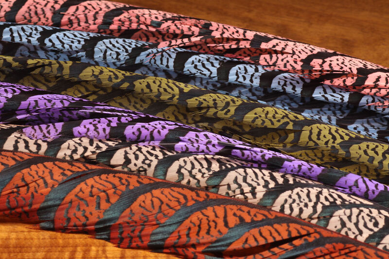 Lady Amherst Center Tail Feather