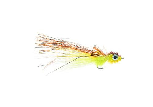 Murdich Minnow