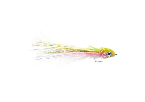 Murdich Minnow