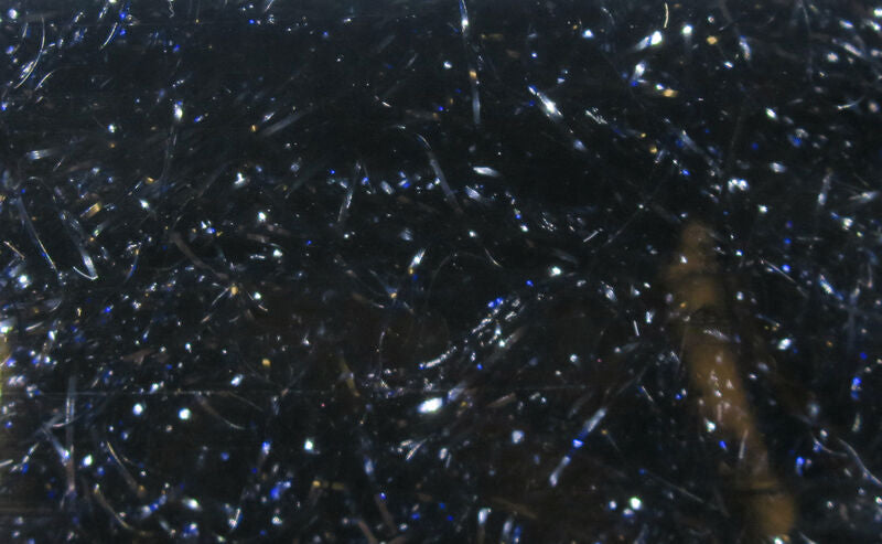 Polar Chenille - Medium