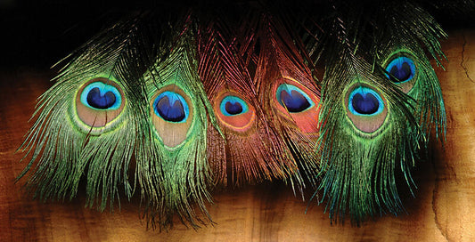 Peacock Eyes, 4pkg