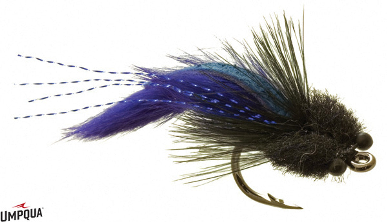 Tarpon Toad