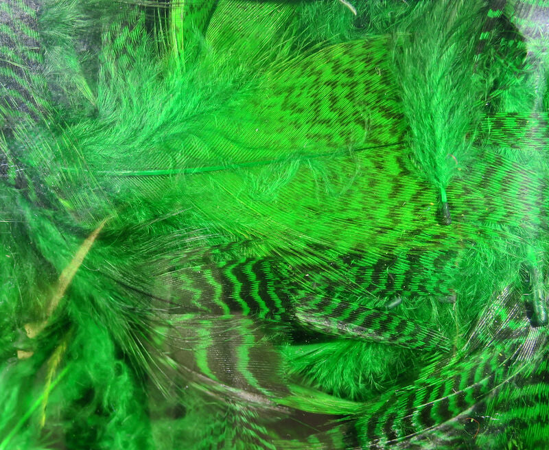 Teal Flank Feathers
