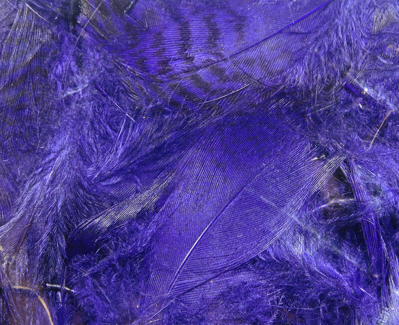 Teal Flank Feathers
