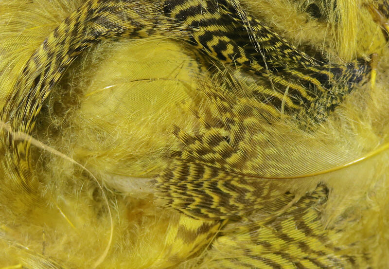 Teal Flank Feathers