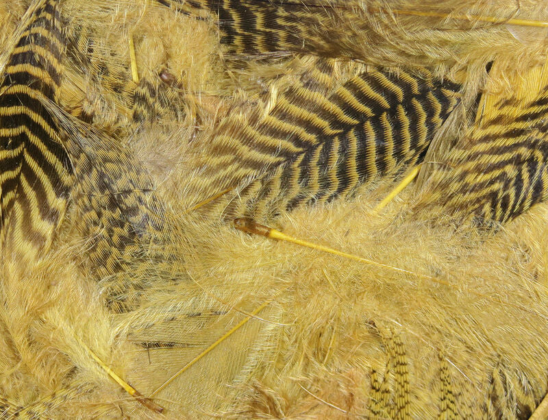 Teal Flank Feathers