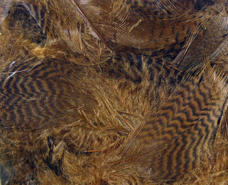Teal Flank Feathers