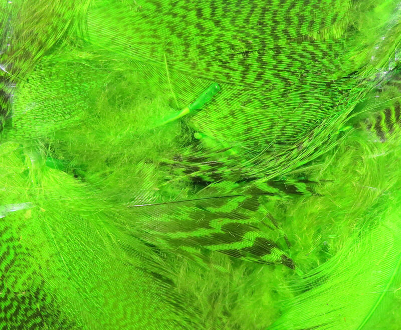 Teal Flank Feathers