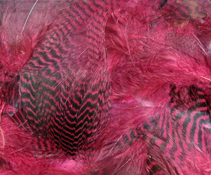 Teal Flank Feathers