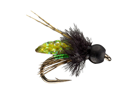 RIO's PC Pupa - Tungsten