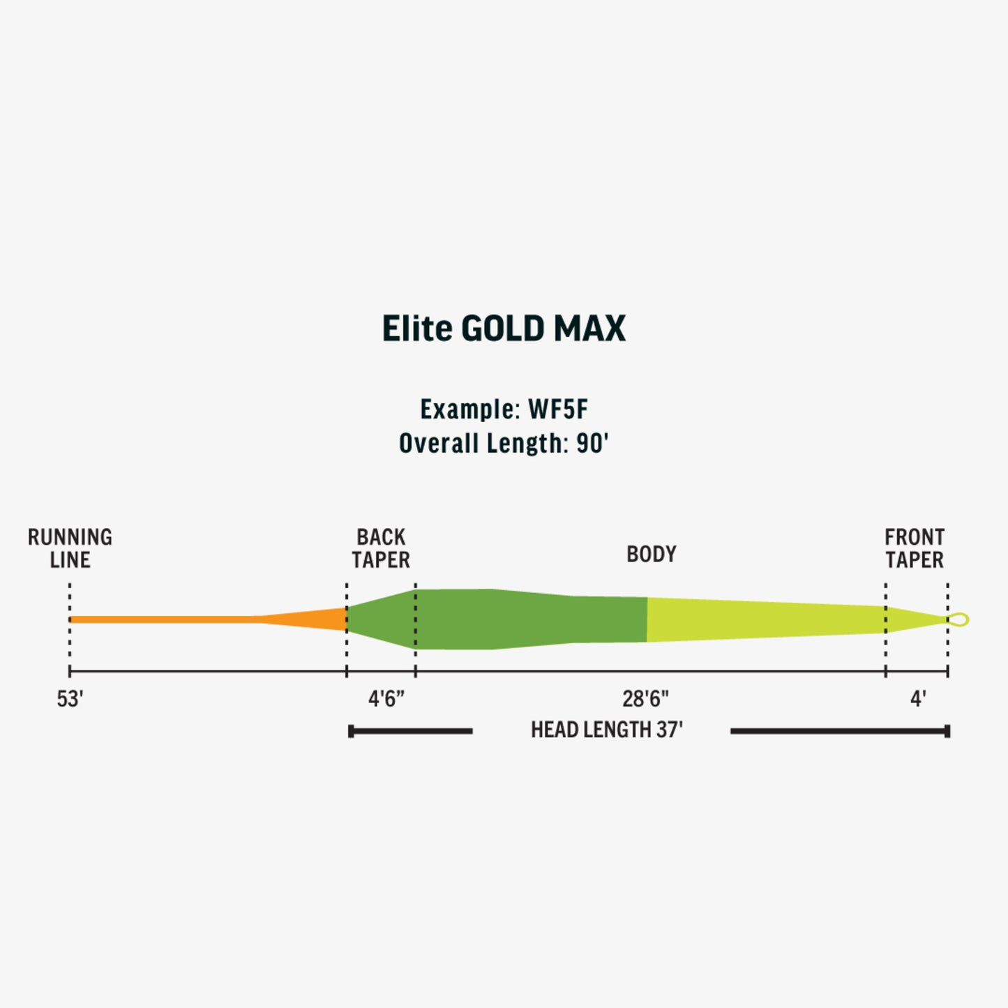 Rio Elite Gold Max - Camo