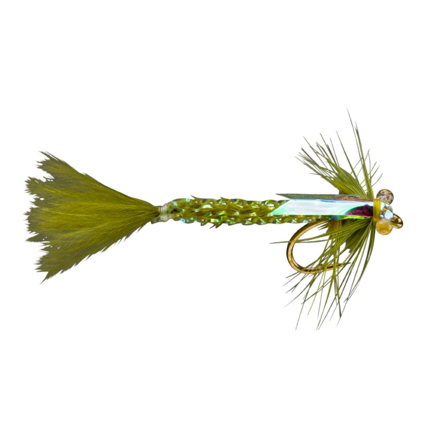 RIO's Wright Damsel