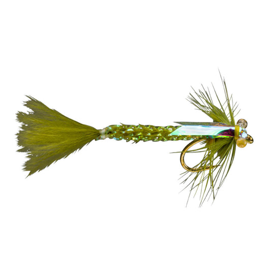RIO's Wright Damsel