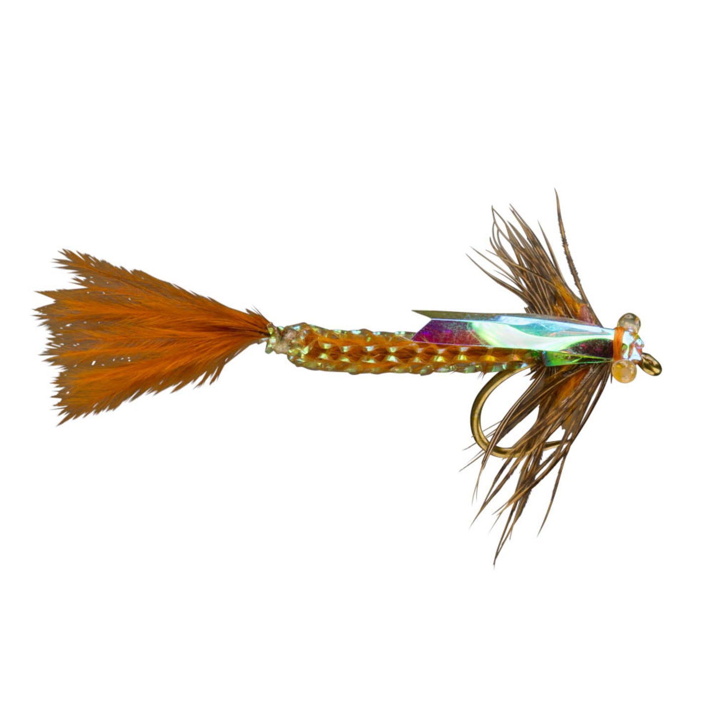 RIO's Wright Damsel