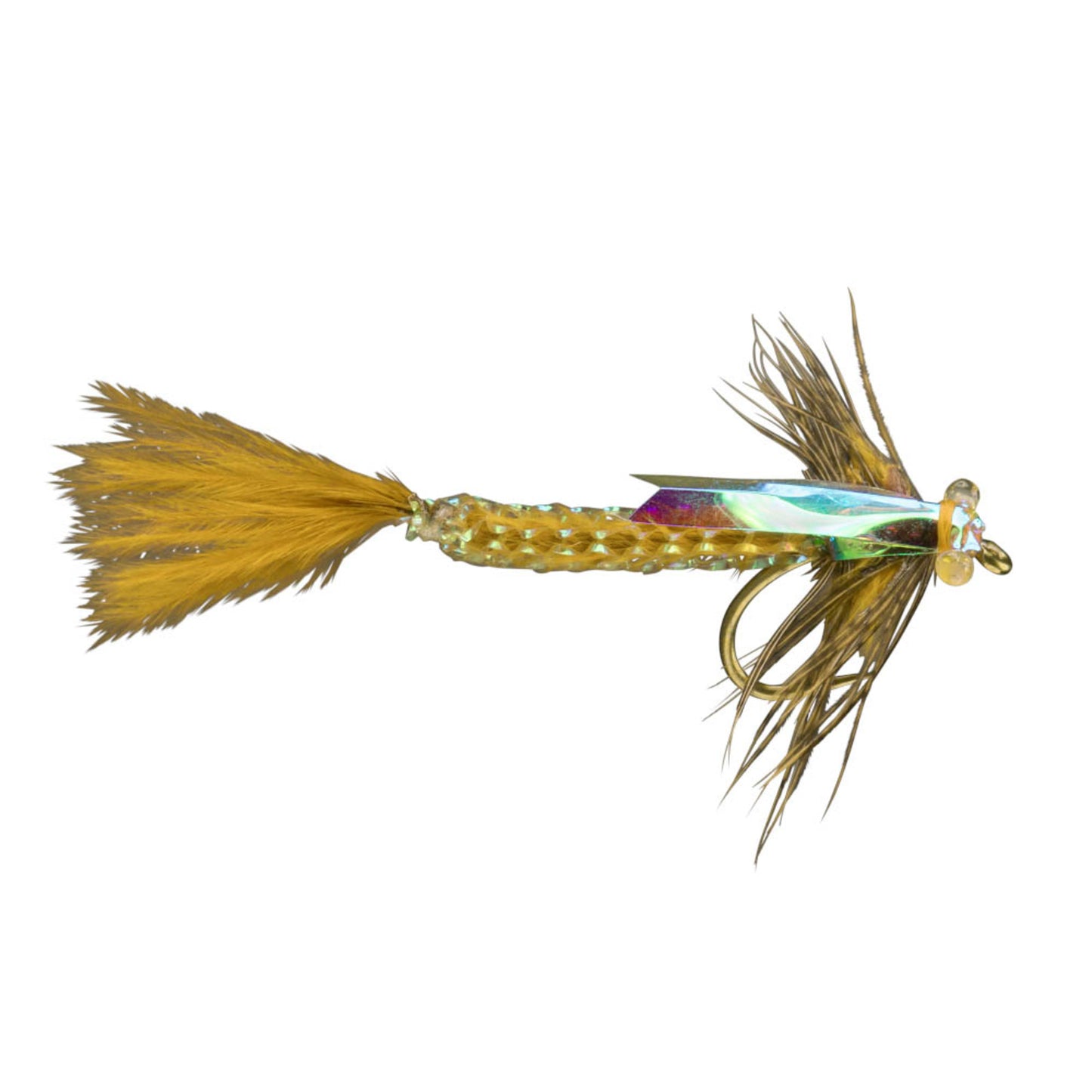 RIO's Wright Damsel