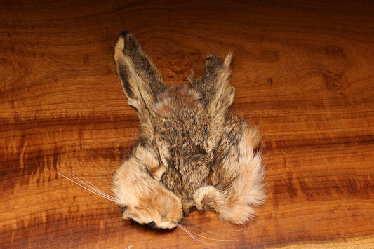 #2 Hare's Mask Natural