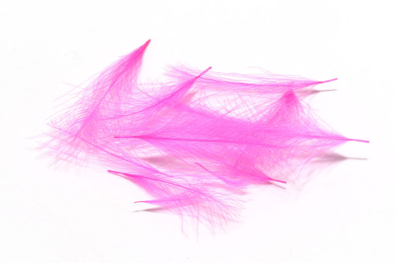 Cul De Canard Feathers