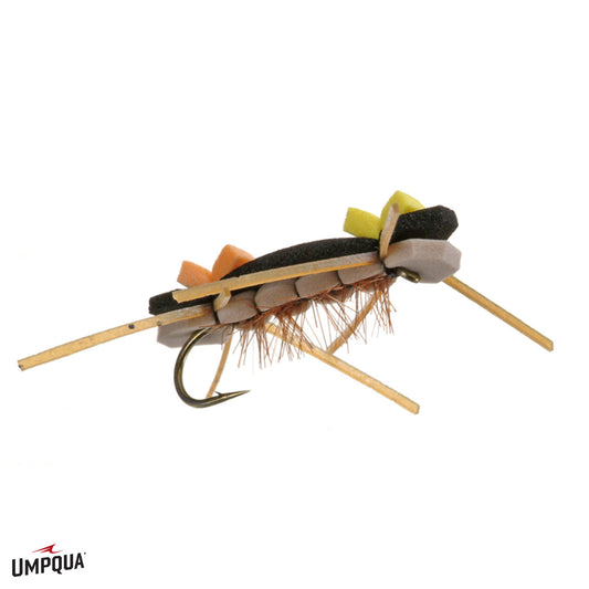 Chernobyl Ant