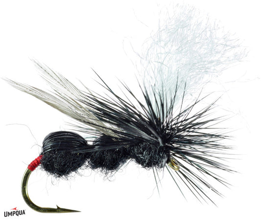 Deer Hair Ant