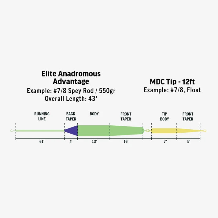 Rio Elite Anadromous Advantage