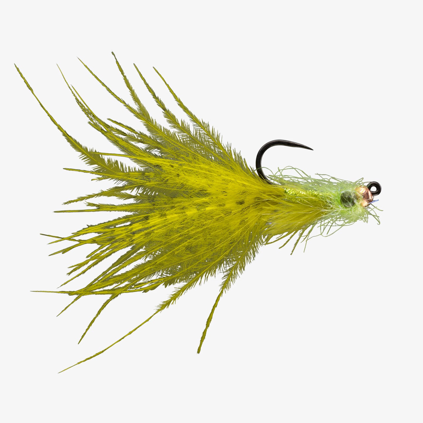 RIO's Buttercup TB