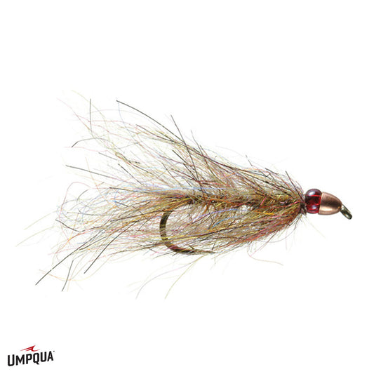 Ruby Eyed Leech