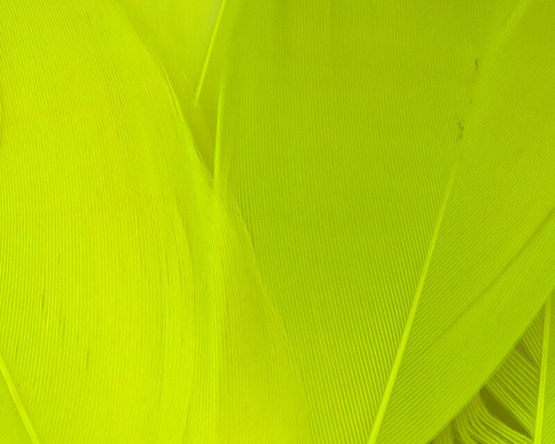 Hareline Select Goose Shoulder