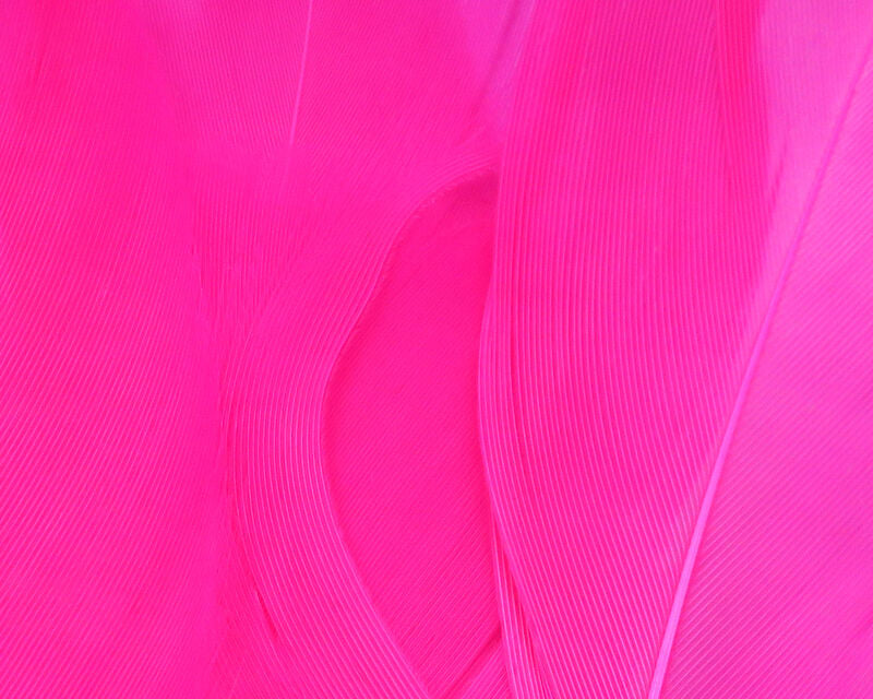 Hareline Select Goose Shoulder