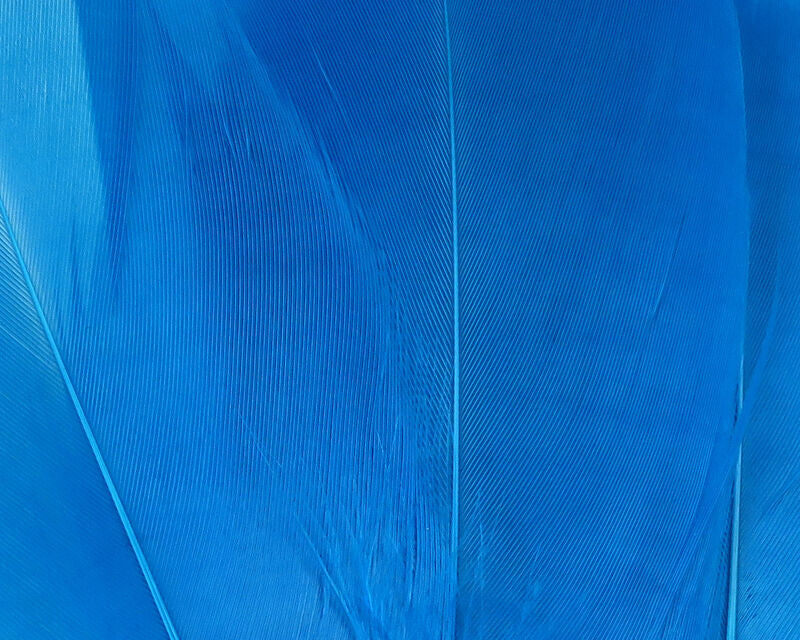 Hareline Select Goose Shoulder