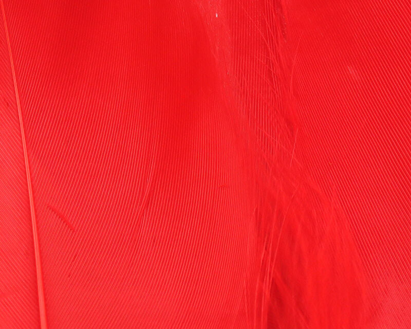 Hareline Select Goose Shoulder