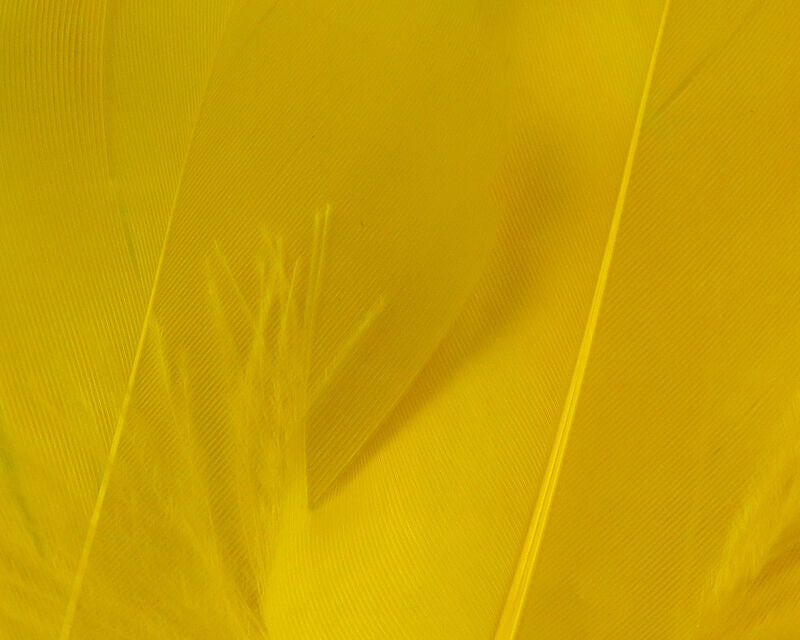 Hareline Select Goose Shoulder