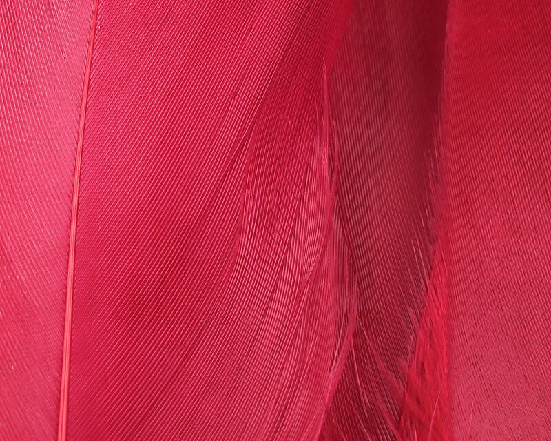 Hareline Select Goose Shoulder