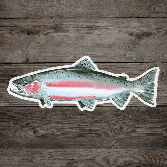 RepYourWater Winter Steel Sticker