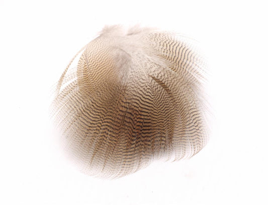 Lemon Wood Duck Feathers