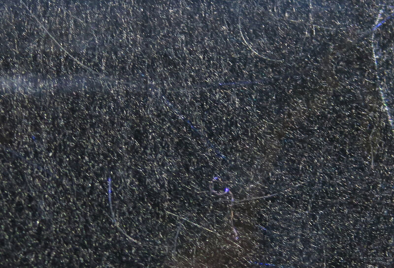 Fly Fish Food Bruiser Blend