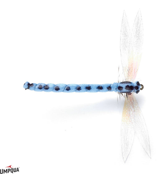Foam Dry Damsel