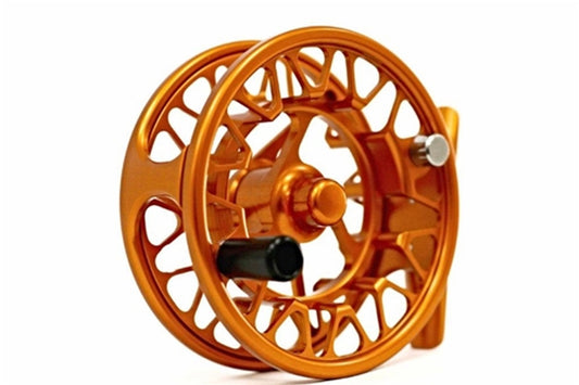 Galvan Brookie