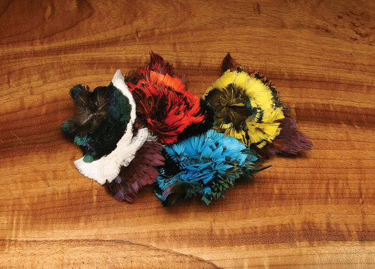 Ringneck Pheasant Neck