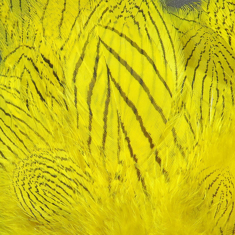 Silver Pheasant Body Feathers