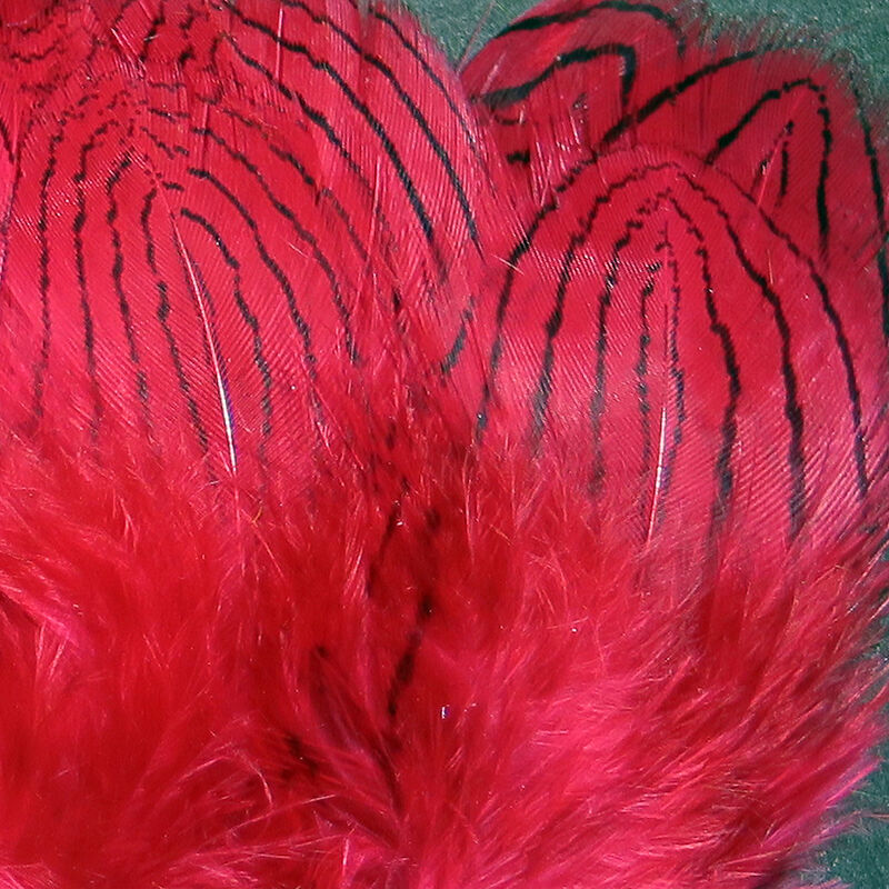 Silver Pheasant Body Feathers