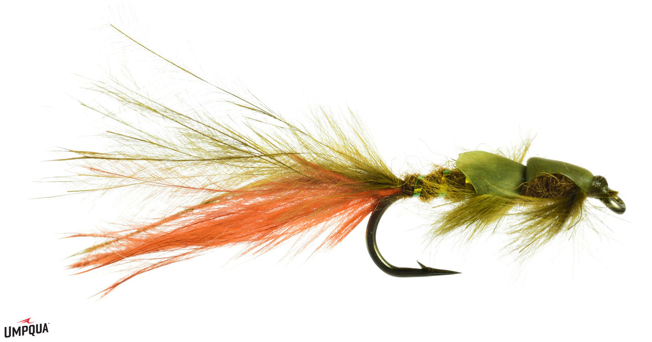 Zack Attack Damsel – Rogue Fly Shop