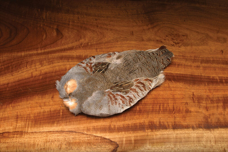 Hungarian Partridge Skin, Natural #1