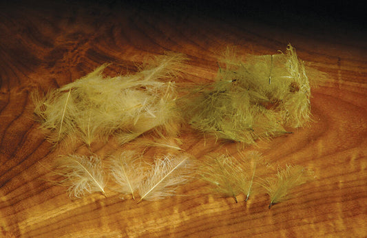 Cuc De Canard Feathers