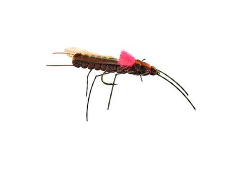 Morrish Still Stone - Salmonfly - Size 6